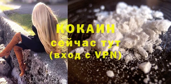 дмт Тобольск
